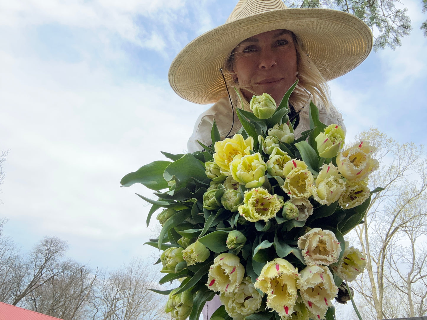Spring Tulip Subscription