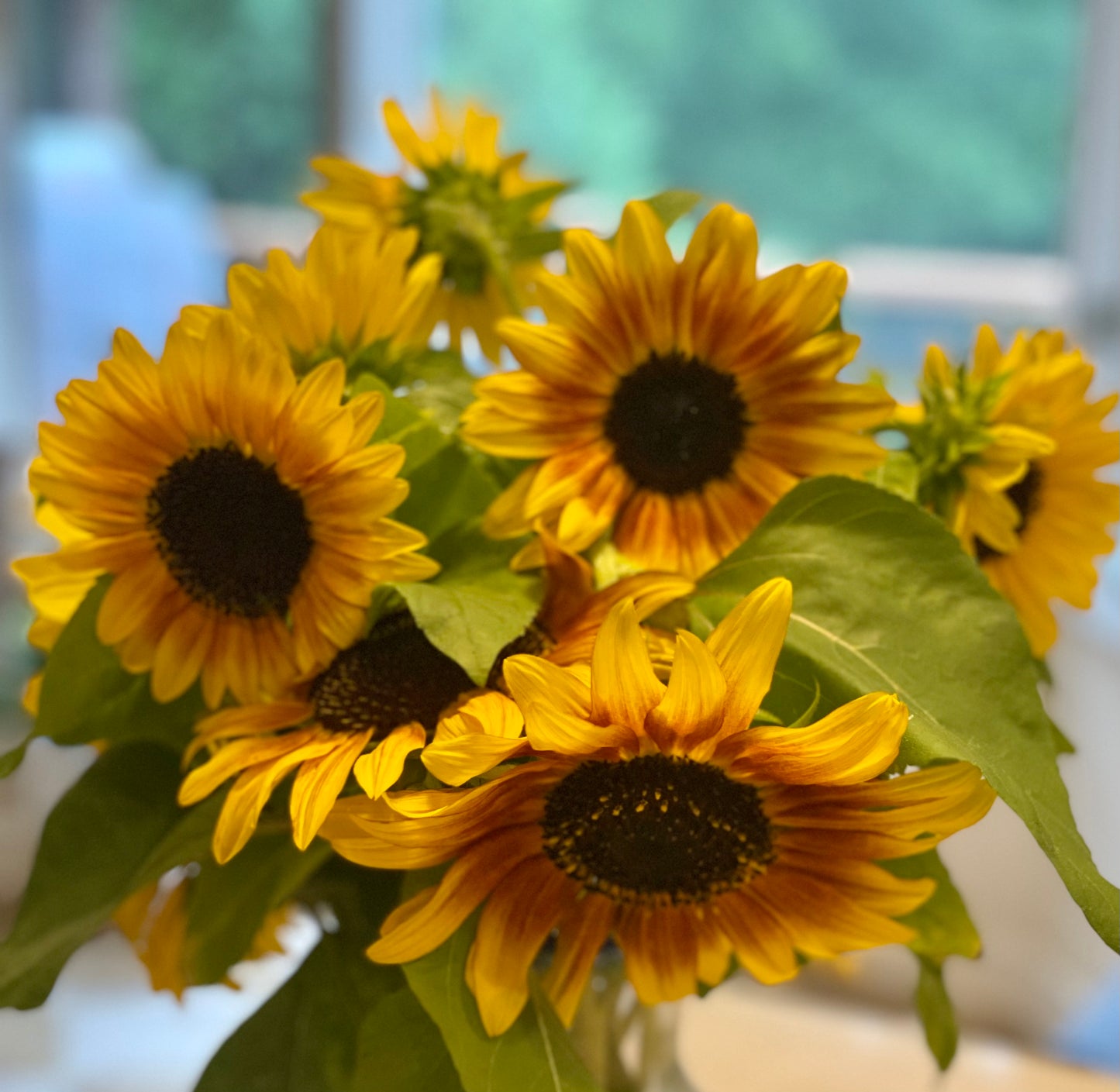 Late Summer Bouquet Subscription