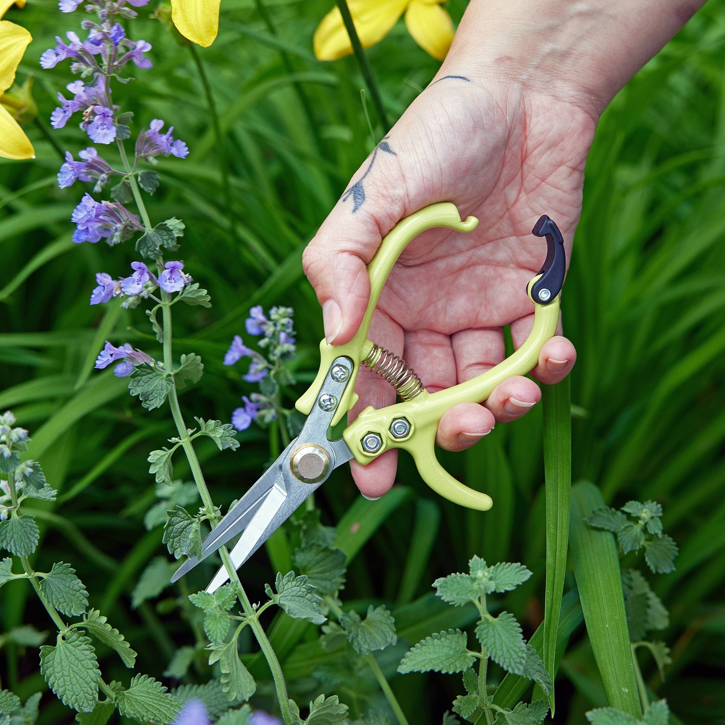 New Colors! Garden Shears : Lavender