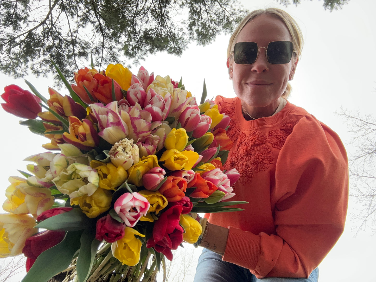 Spring Tulip Subscription