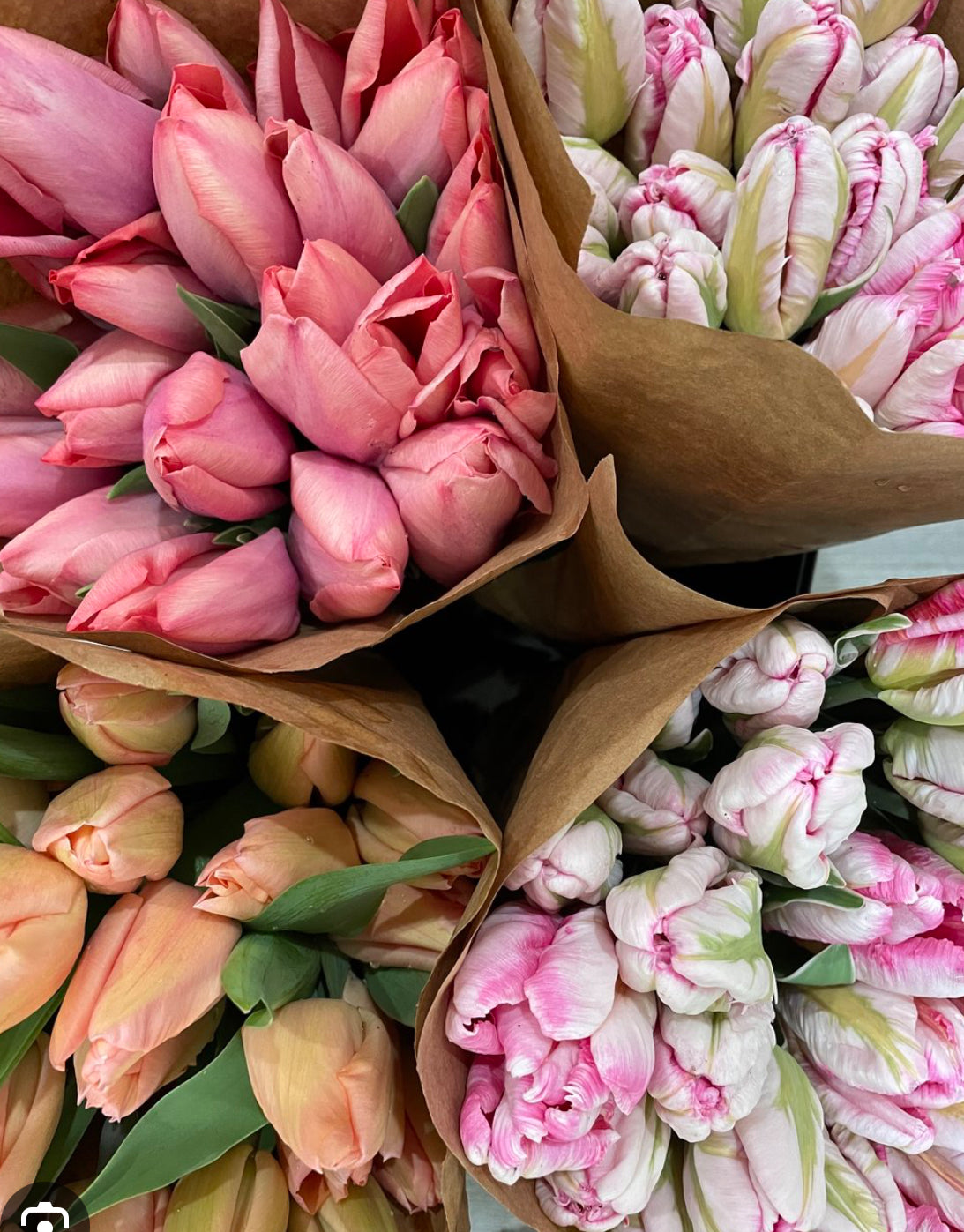 Spring Tulip Subscription