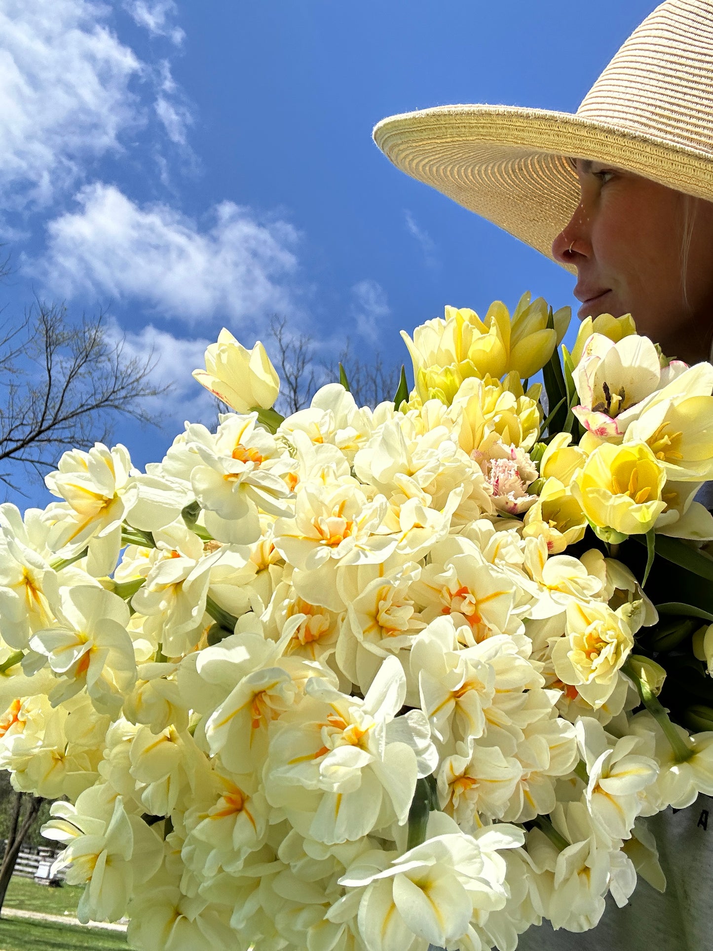 Spring Tulip Subscription