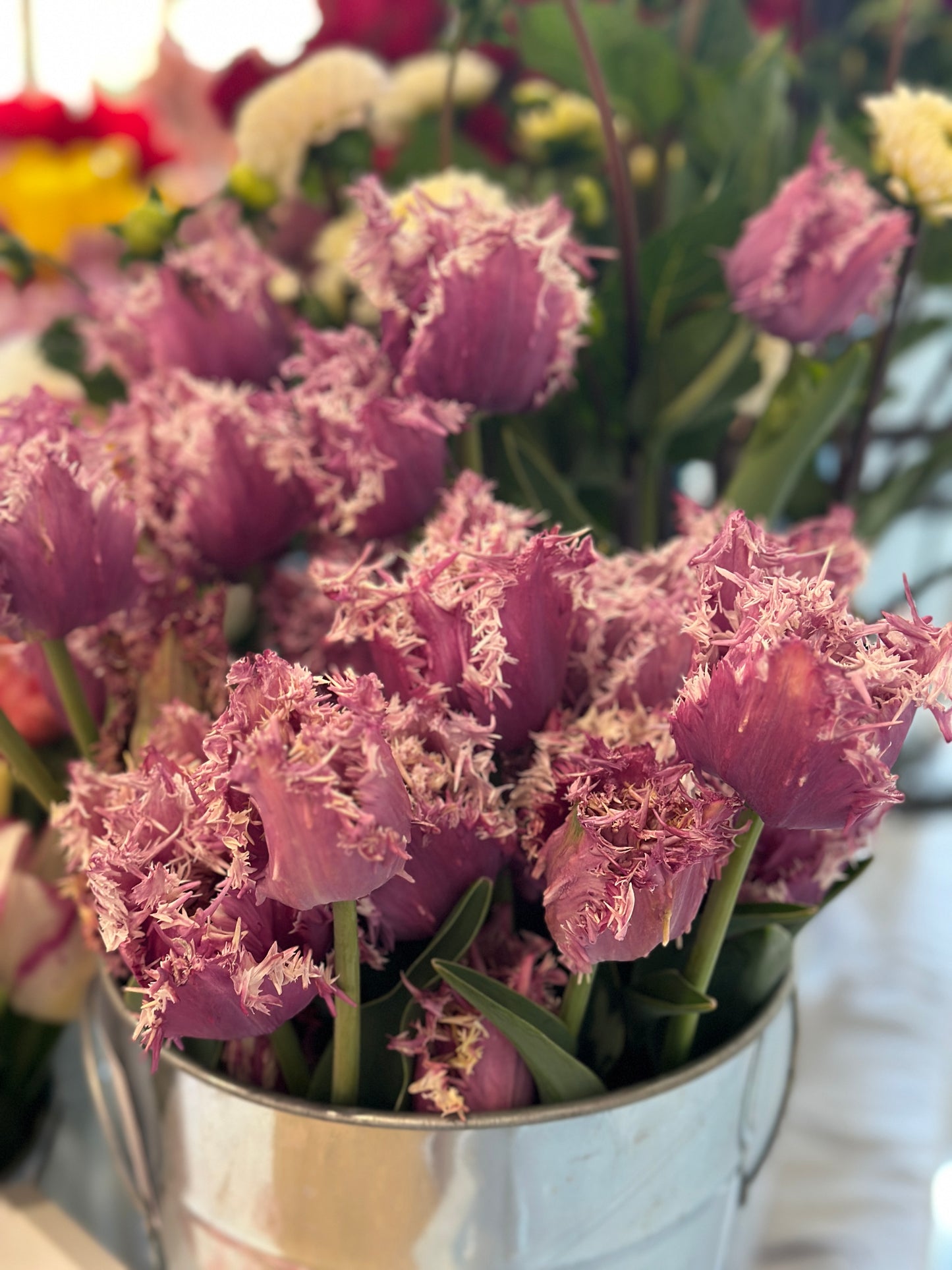 Spring Tulip Subscription