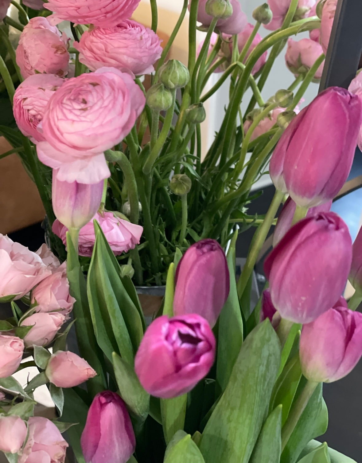 Spring Tulip Subscription