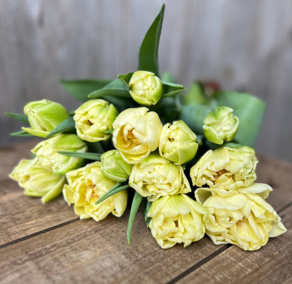 Bouquet Subscription Bundle
