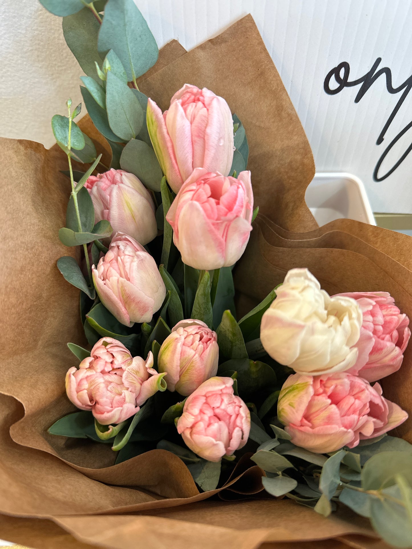 Spring Tulip Subscription