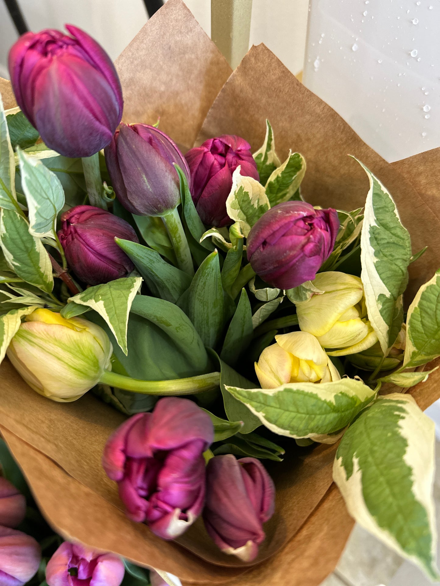 Spring Tulip Subscription