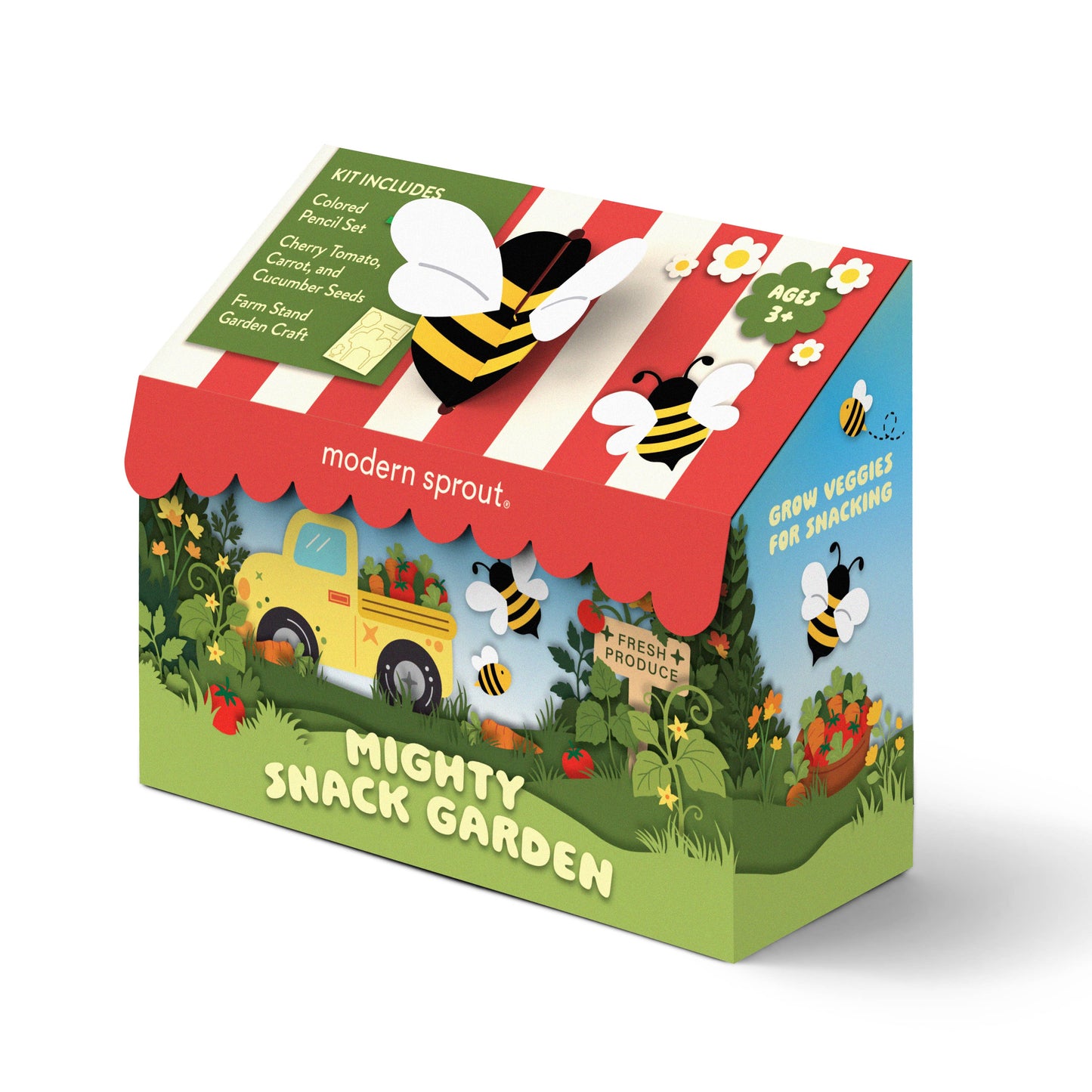 Magical Minds Garden Kit: Enchanted Fairy Garden