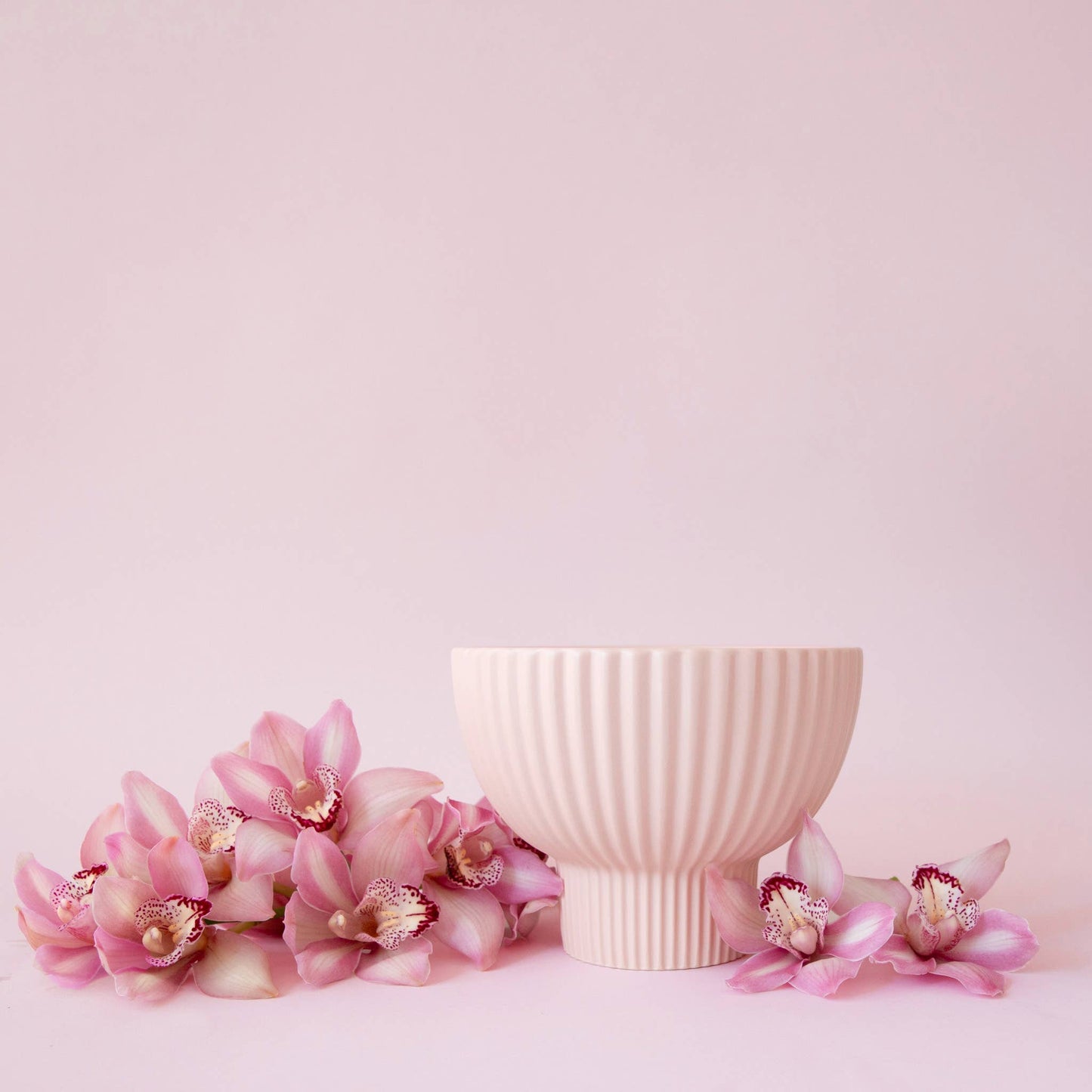 Priscilla Compote | Pink: 8 inch