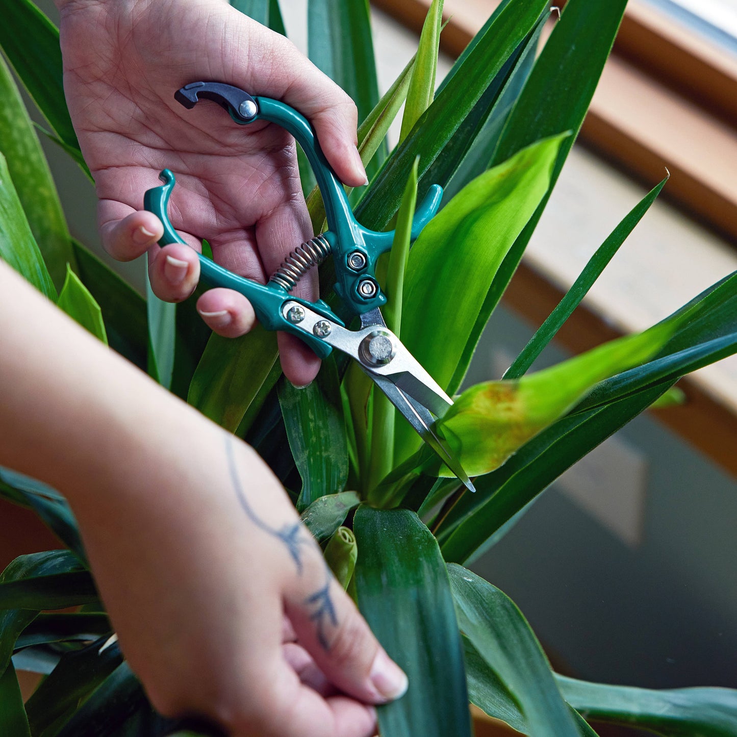 New Colors! Garden Shears : Ocean