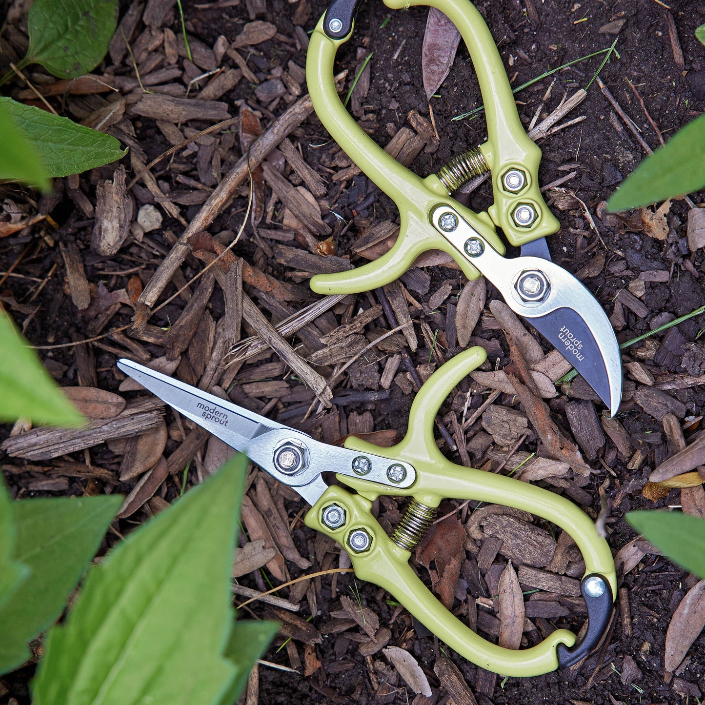 New Colors! Garden Shears : Chartreuse